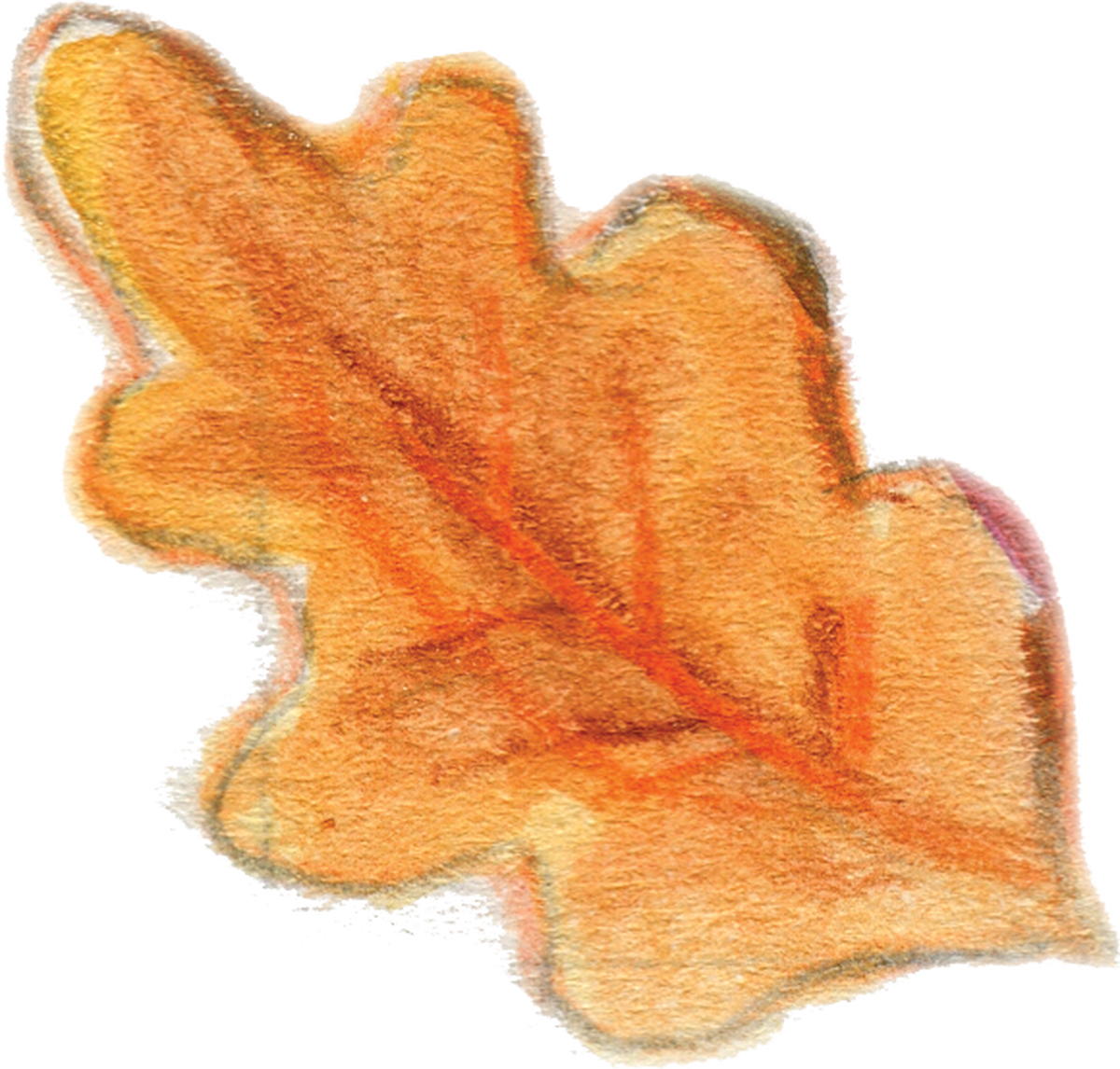 Leaf